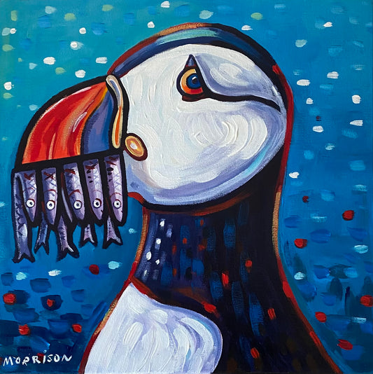 Puffin